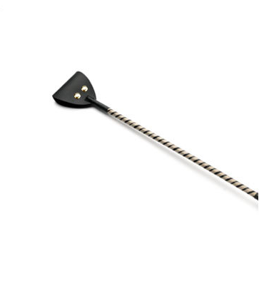 "Electro Pulse Whip for Sensual Play Products"