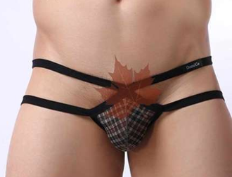 Underwear, Thongs, Double-Sided Briefs, Shorts