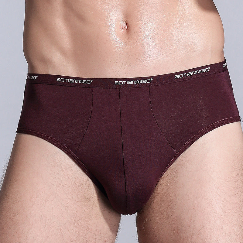 5XL Men's Modal Bamboo Breathable Underwear Briefs